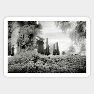 A Victorian Graveyard shot using infra-red film, West Midlands, UK Sticker